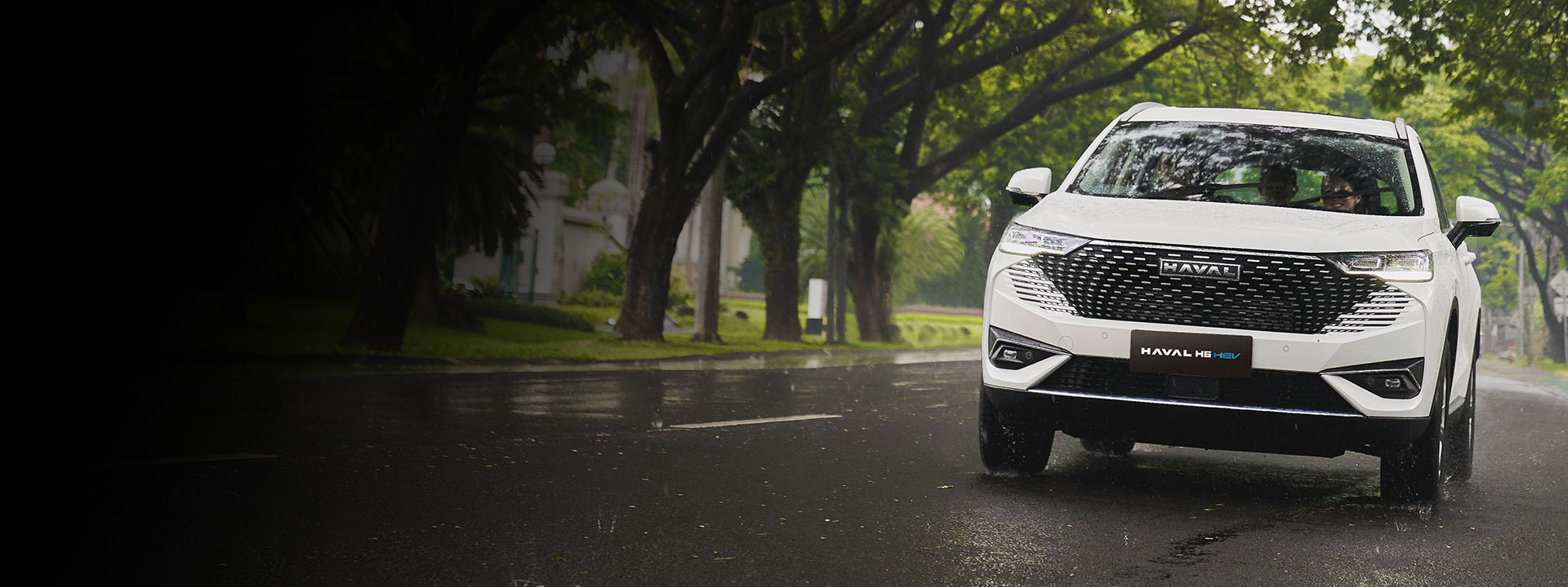 YOUR PERFECT COMPANION